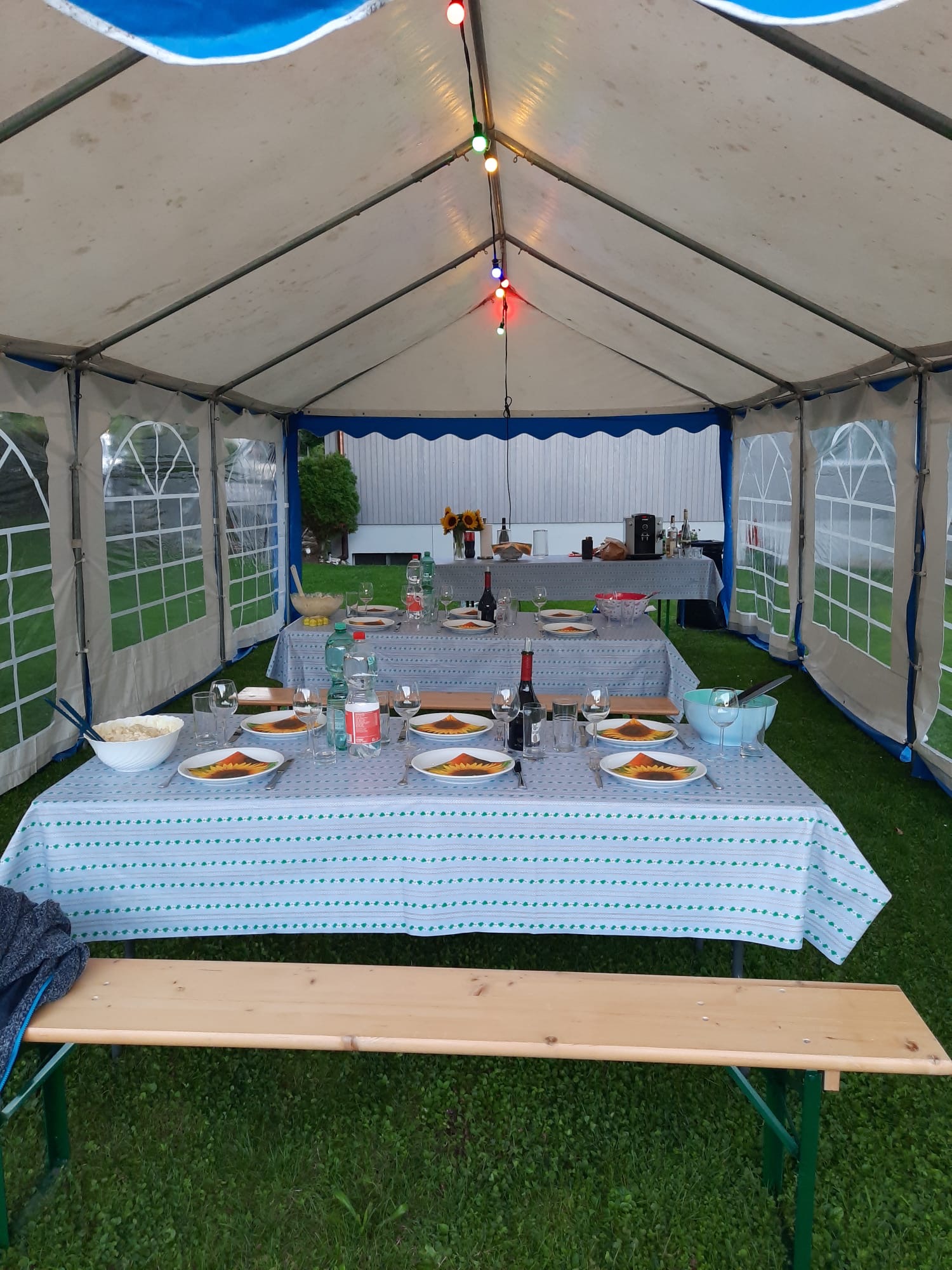 231ea756 65bd 4201 8866 ac8508609087