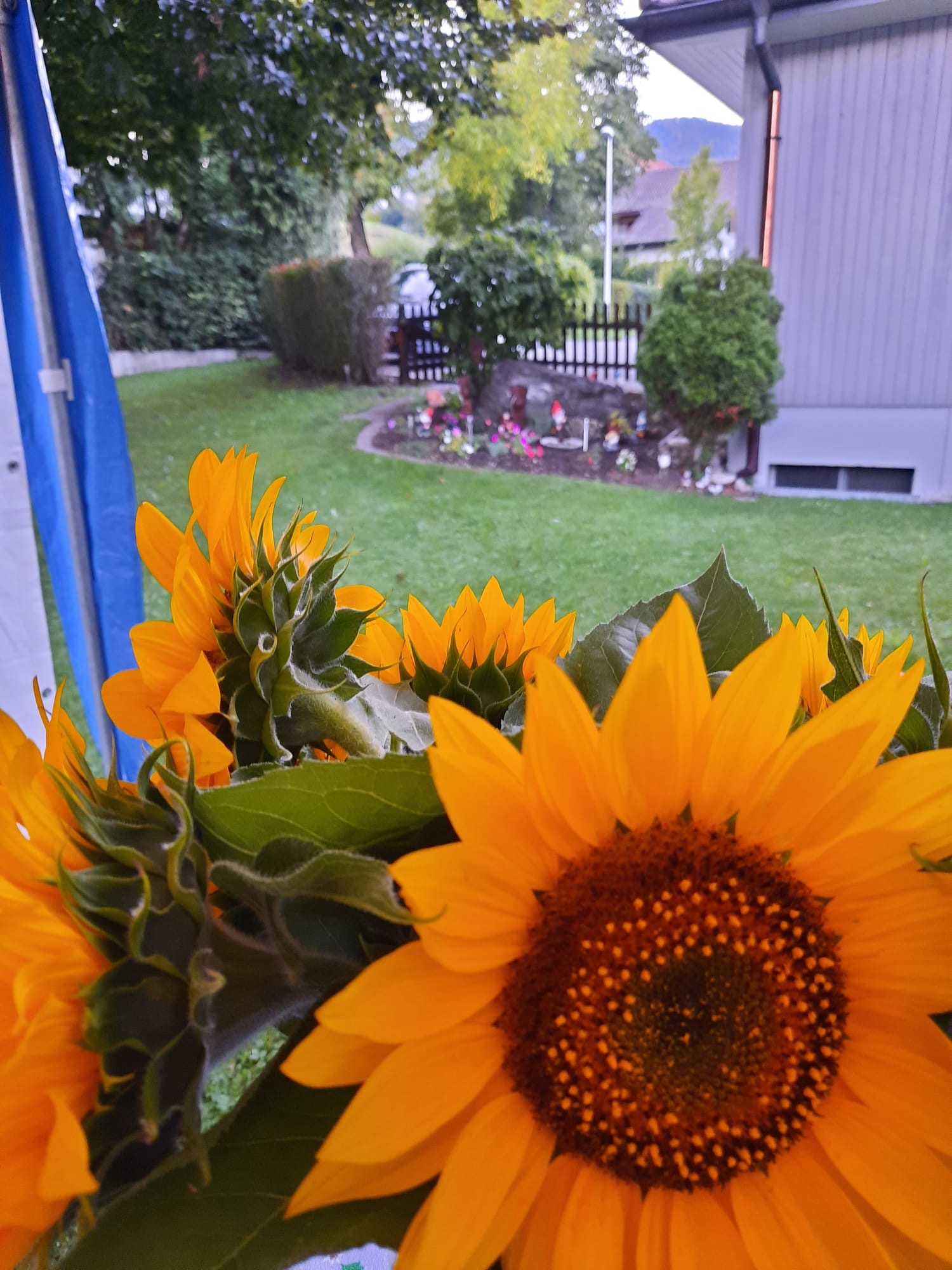 5244bd31 fafb 4710 adf2 b9410b7e6c5e