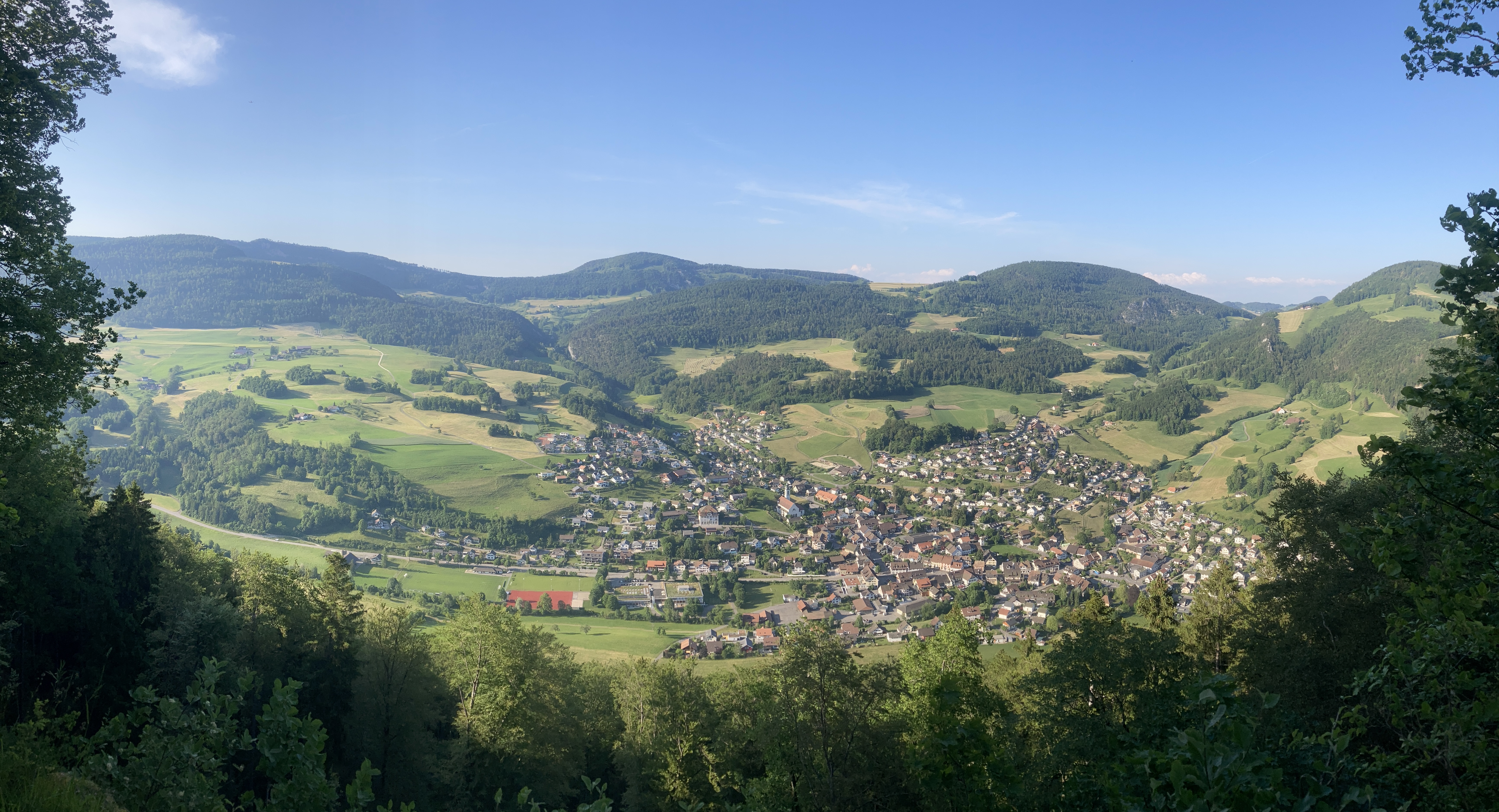 Einbürgerung IMG 5583