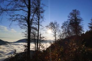 Bilder aus der Region