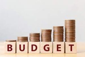 Budget - Bürgergemeindeversammlung