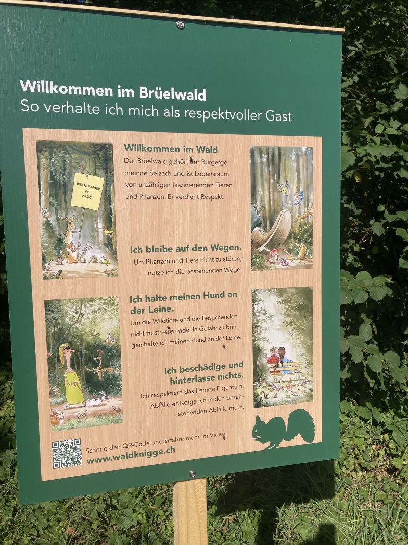 Impressionen Waldtage