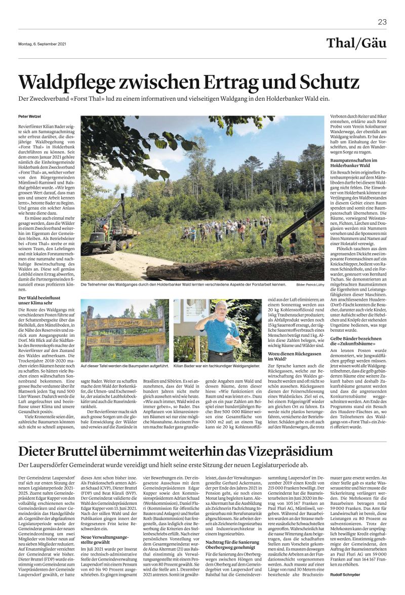 Waldgang in Holderbank