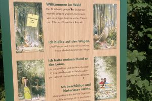 Impressionen Waldtage