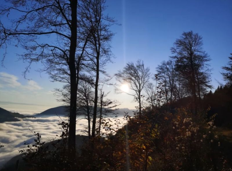 Bilder aus der Region