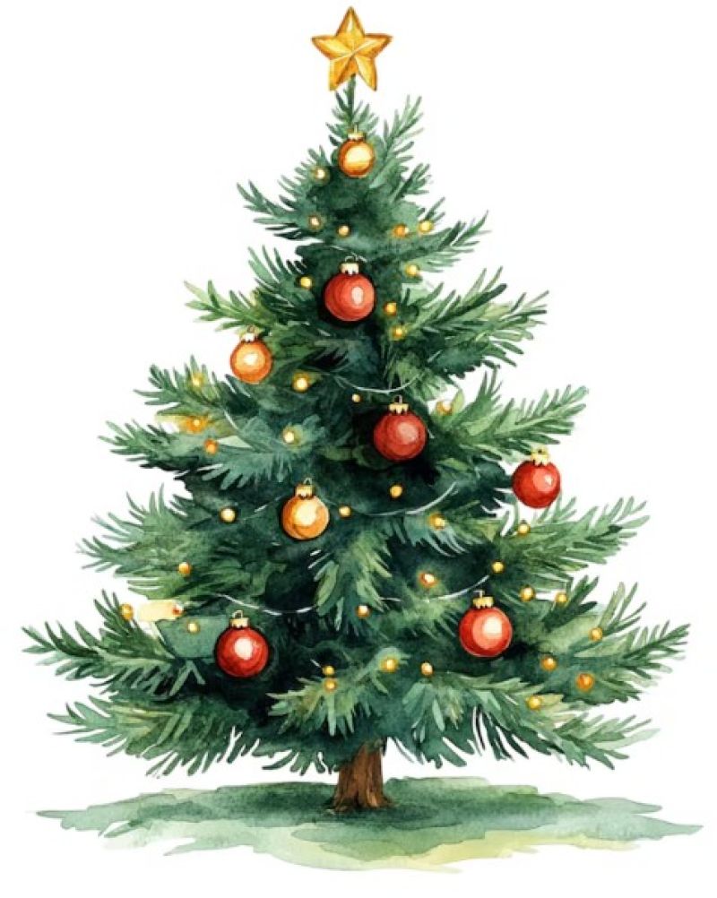 Weihnachtsbaum Verkauf